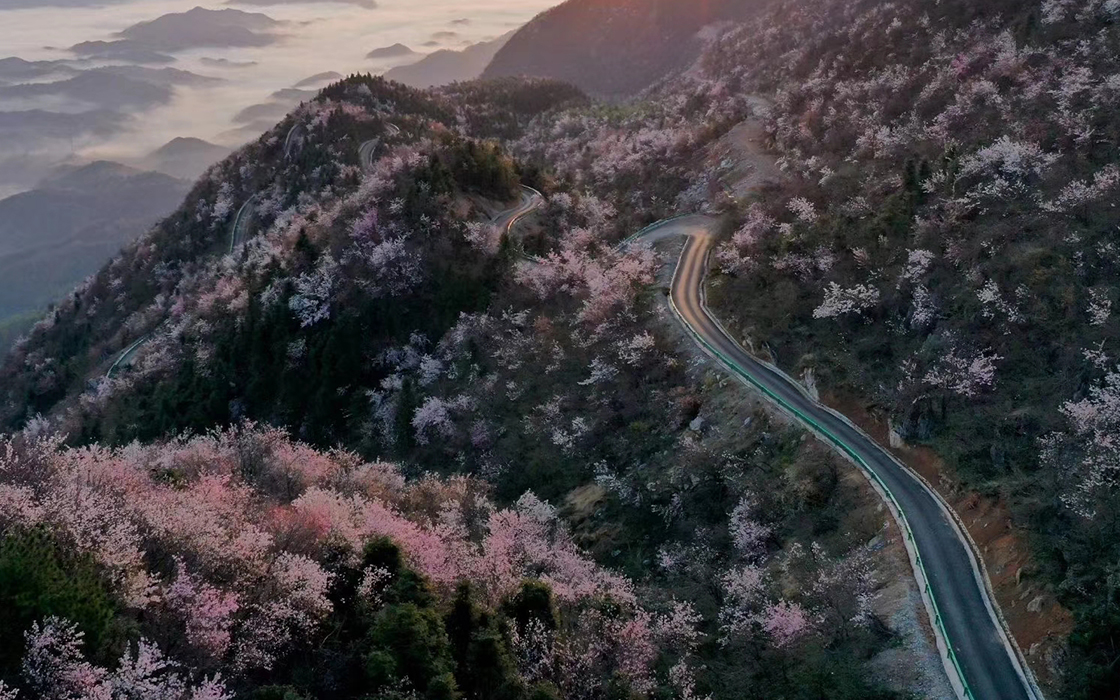 Pokerking官网-不凡成绩非凡,相信品牌的实力