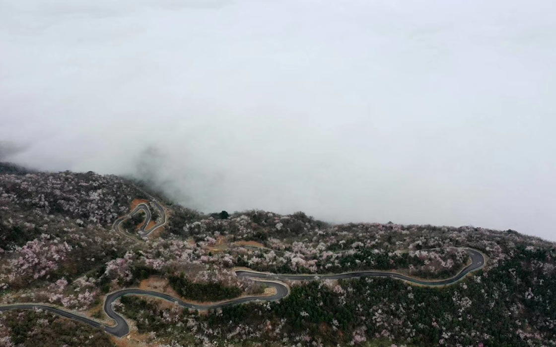 Pokerking官网-不凡成绩非凡,相信品牌的实力