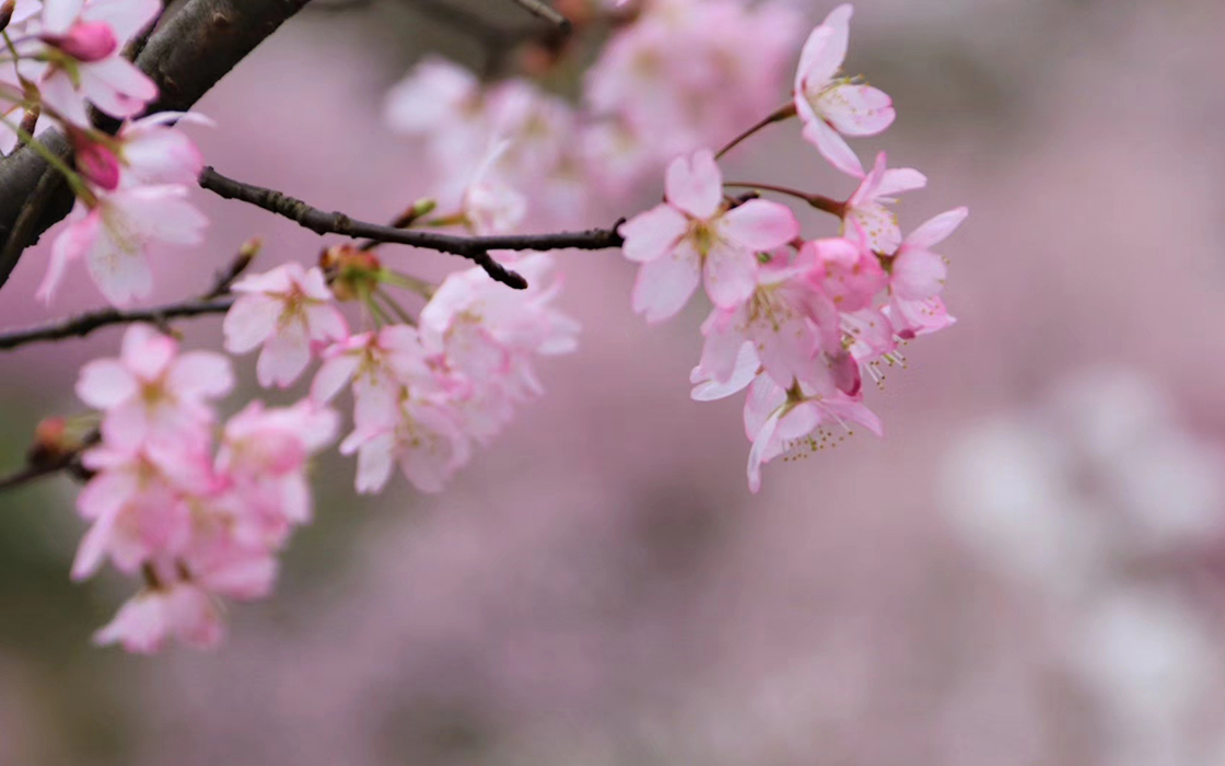 Pokerking官网-不凡成绩非凡,相信品牌的实力