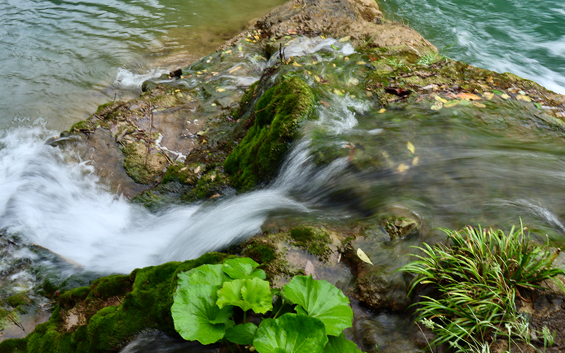 Pokerking官网-不凡成绩非凡,相信品牌的实力