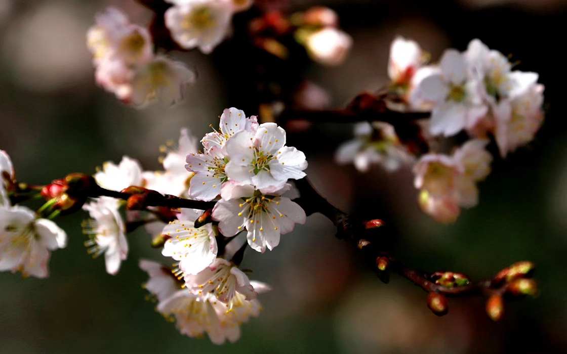 Pokerking官网-不凡成绩非凡,相信品牌的实力