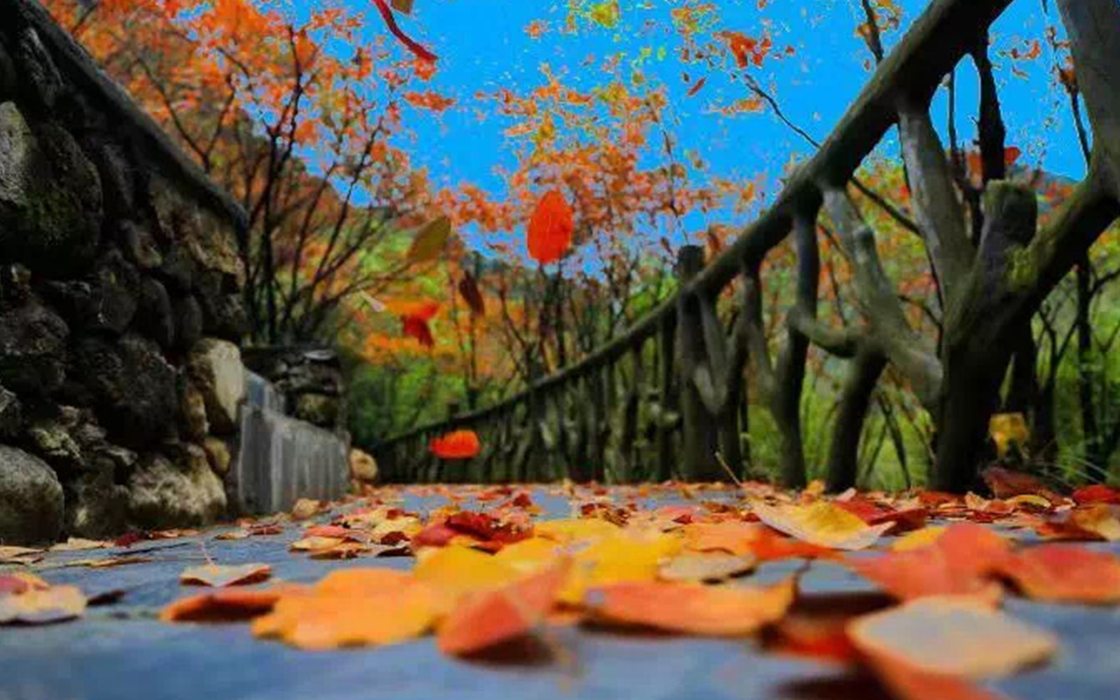 Pokerking官网-不凡成绩非凡,相信品牌的实力