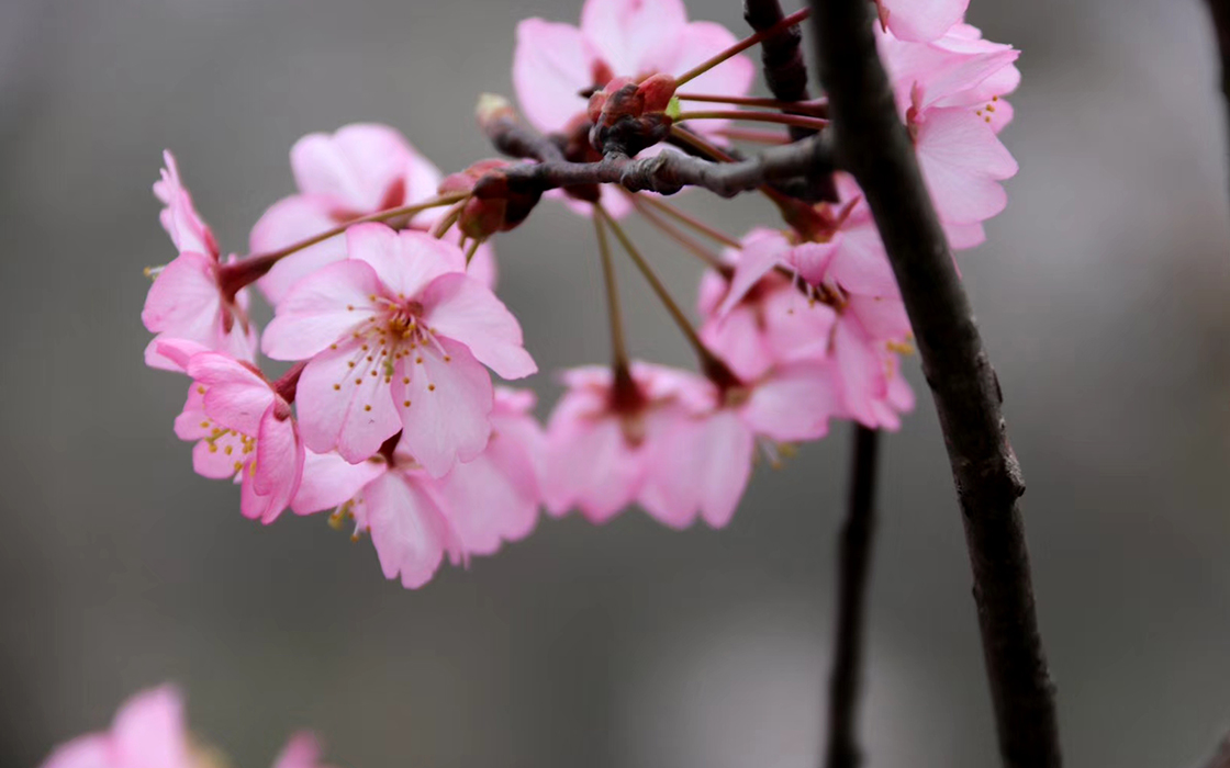 Pokerking官网-不凡成绩非凡,相信品牌的实力