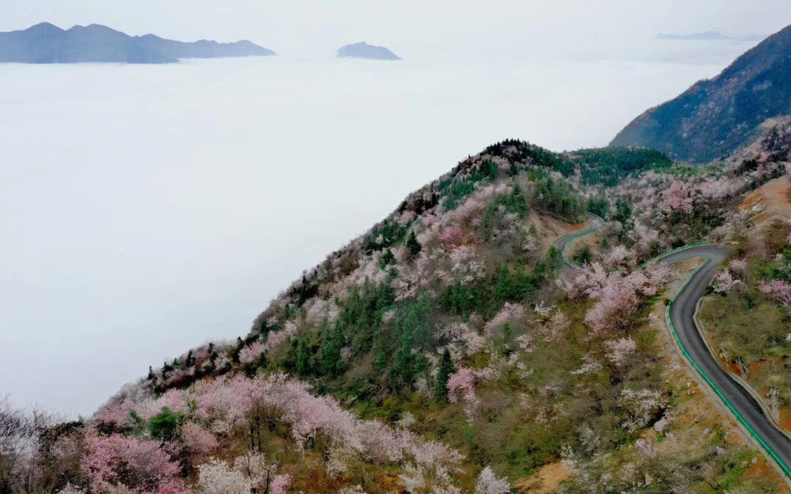 Pokerking官网-不凡成绩非凡,相信品牌的实力