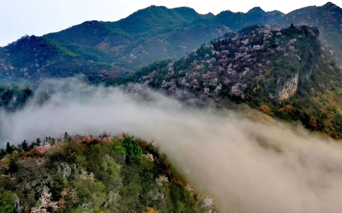 Pokerking官网-不凡成绩非凡,相信品牌的实力