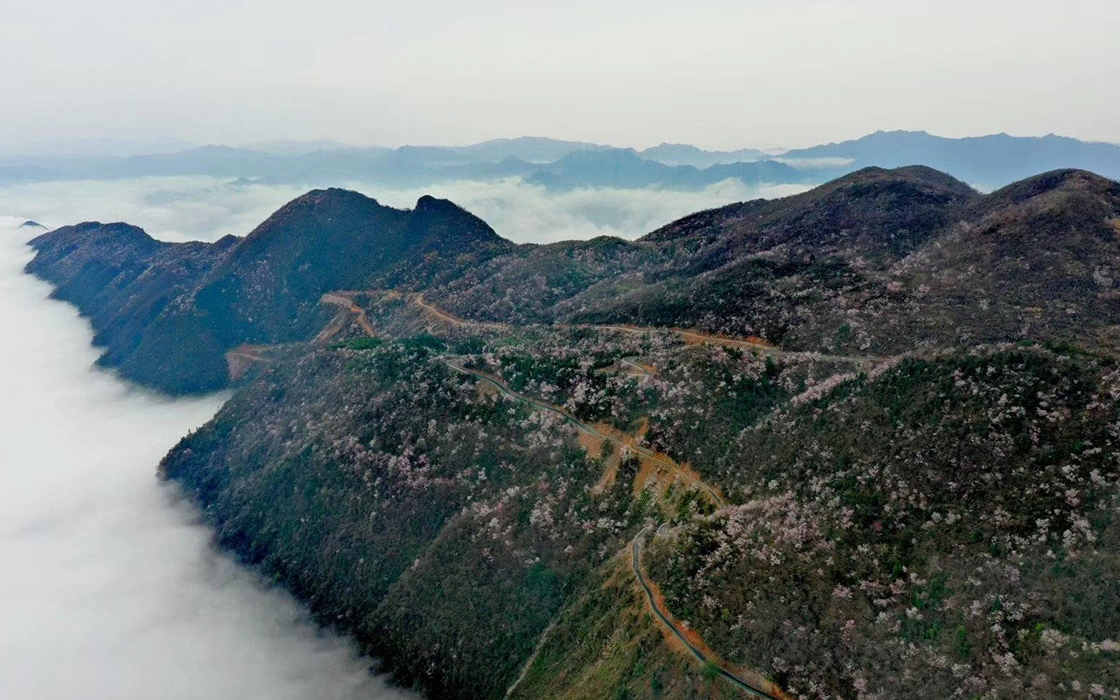 Pokerking官网-不凡成绩非凡,相信品牌的实力