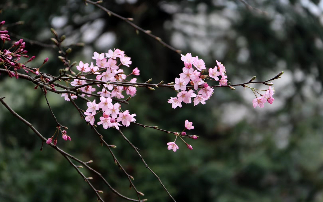 Pokerking官网-不凡成绩非凡,相信品牌的实力