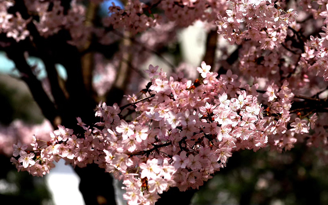 Pokerking官网-不凡成绩非凡,相信品牌的实力