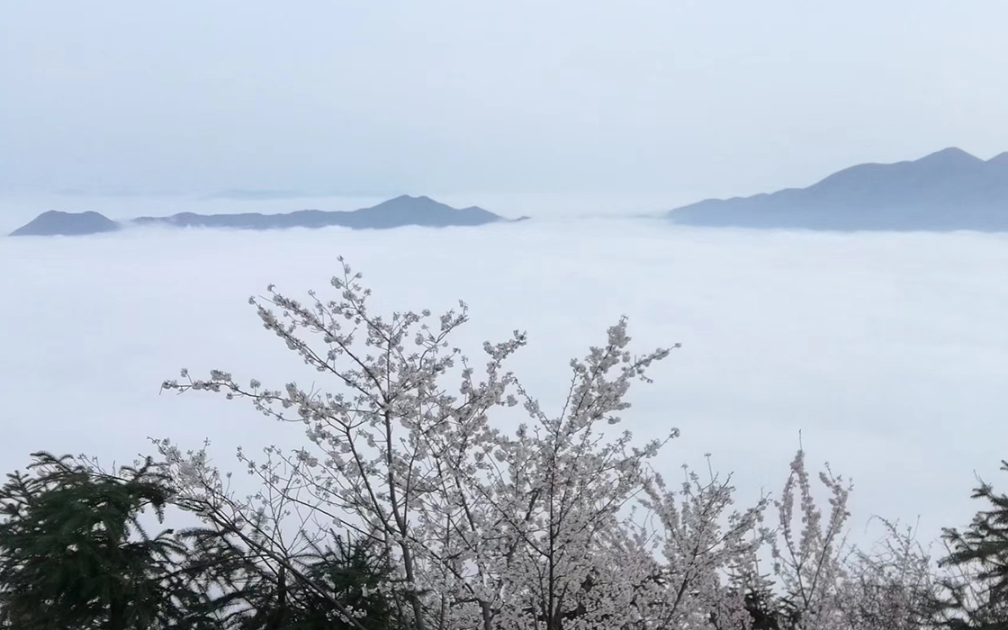 Pokerking官网-不凡成绩非凡,相信品牌的实力