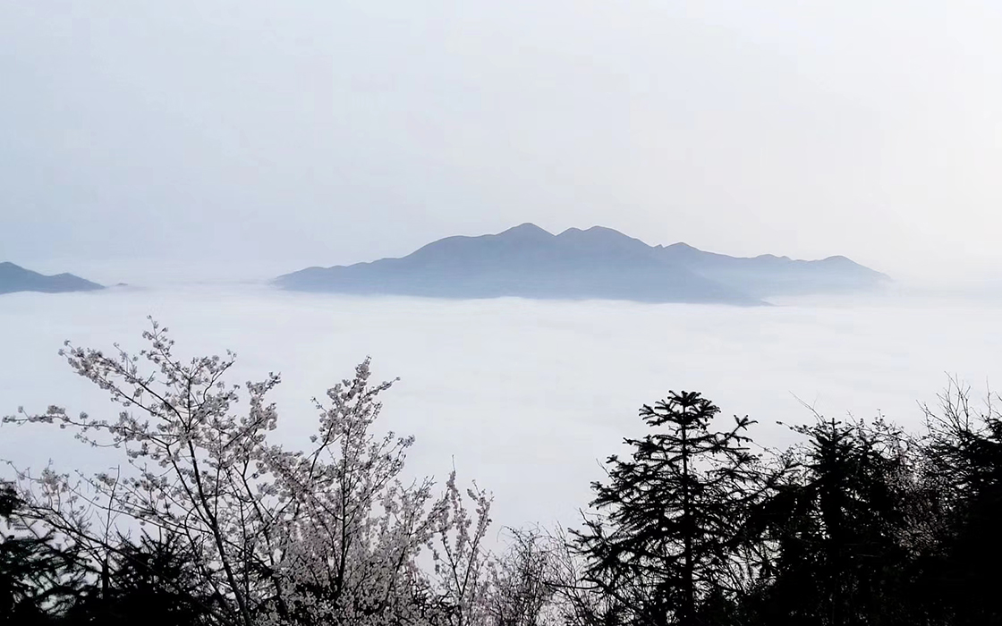 Pokerking官网-不凡成绩非凡,相信品牌的实力