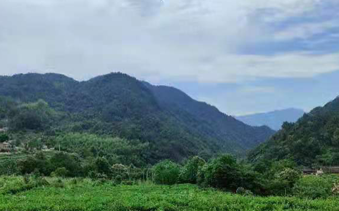 Pokerking官网-不凡成绩非凡,相信品牌的实力