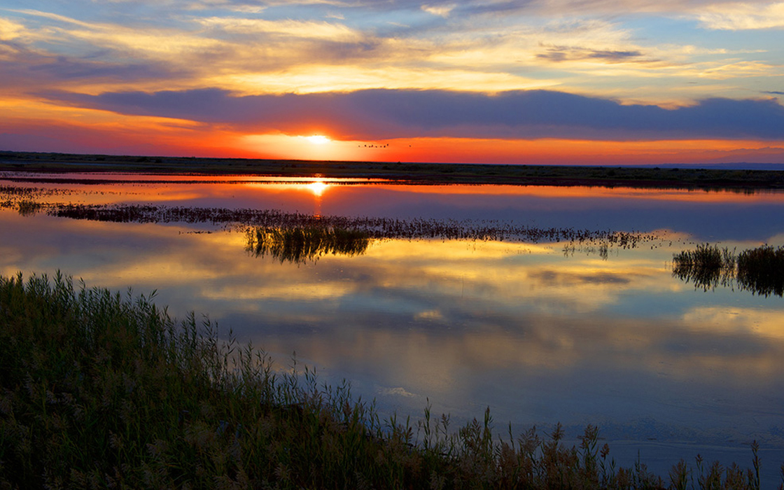 Pokerking官网-不凡成绩非凡,相信品牌的实力
