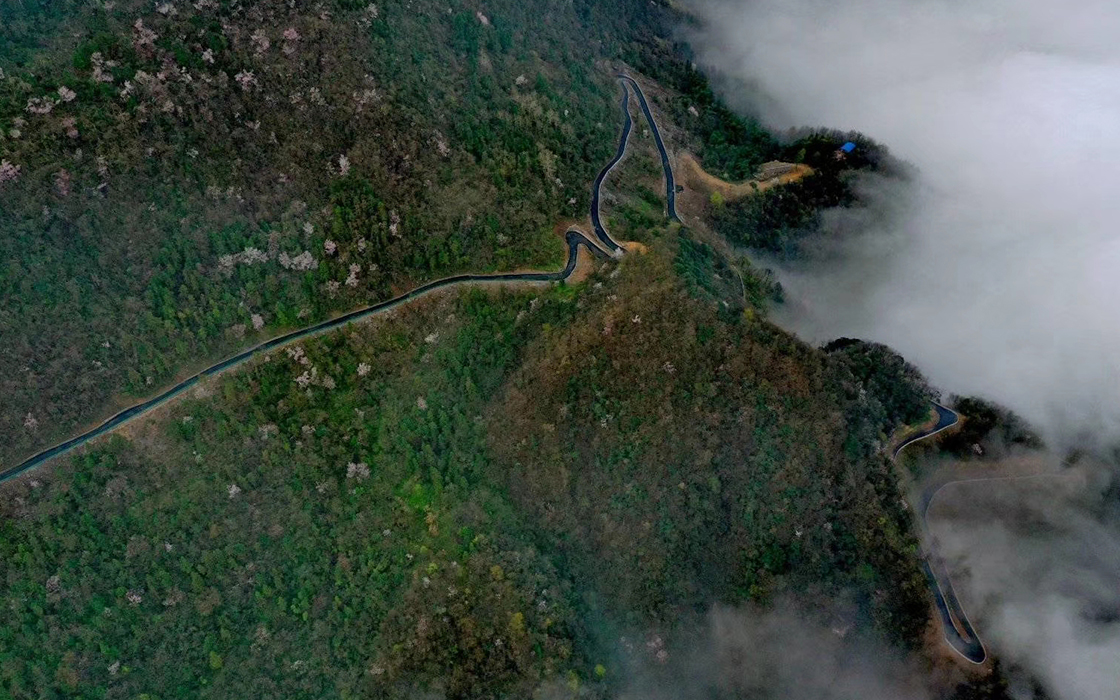 Pokerking官网-不凡成绩非凡,相信品牌的实力