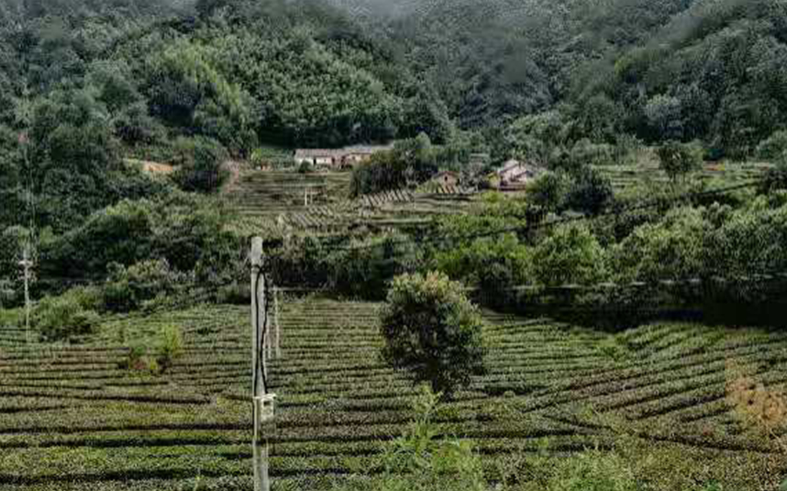 Pokerking官网-不凡成绩非凡,相信品牌的实力