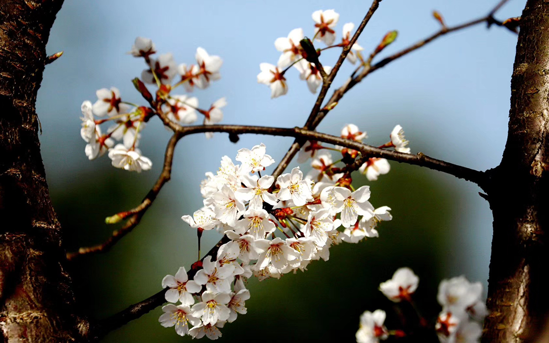 Pokerking官网-不凡成绩非凡,相信品牌的实力