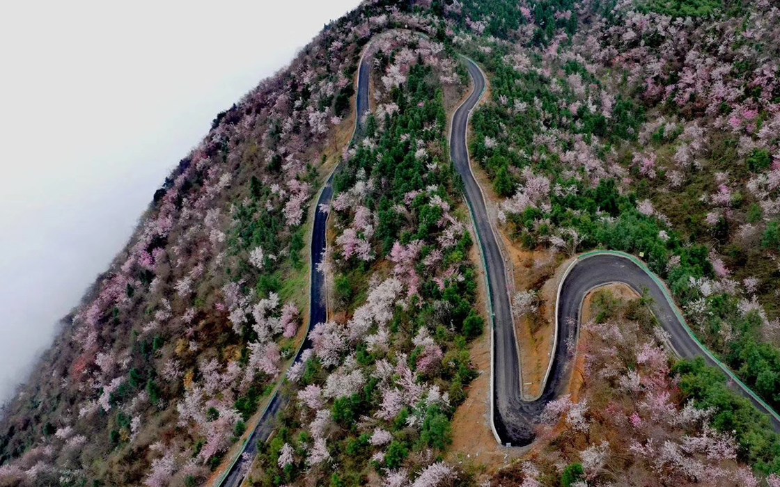 Pokerking官网-不凡成绩非凡,相信品牌的实力