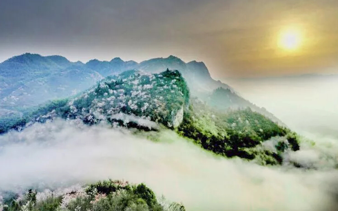 湖北Pokerking集团崇阳旅游开发有限公司